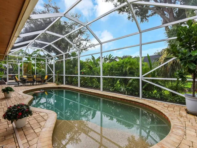 Pool w/ Sun Shelf