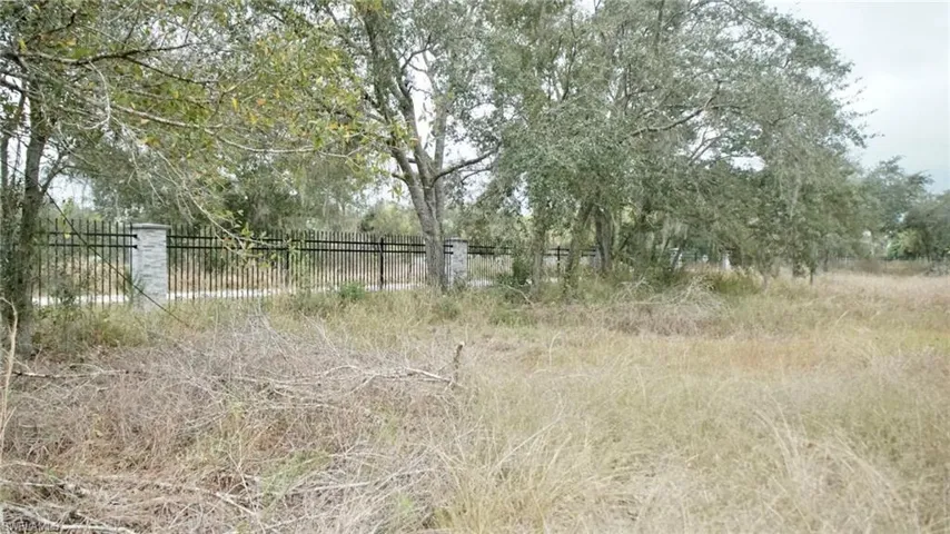 View of nature