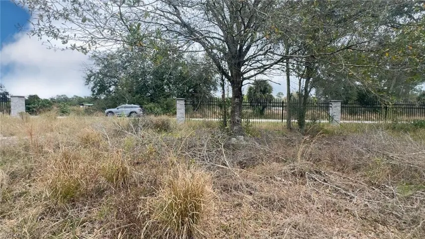 View of undeveloped land