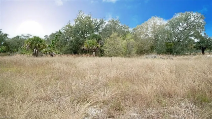 View of undeveloped land