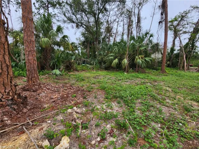 View of landscape