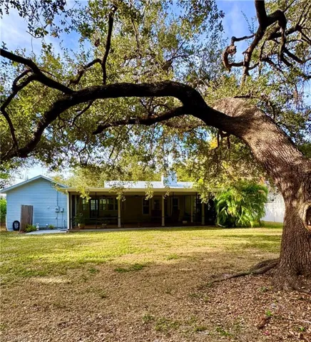 Rear view of house