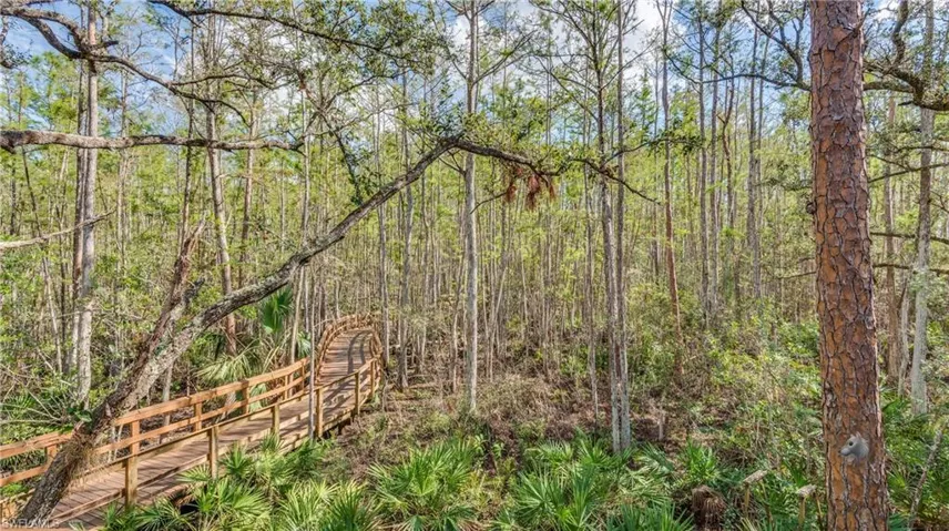 38-Acre Preserve and elevation boardwalk
