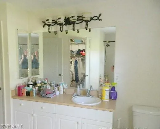 Full bath with vanity, a shower, and a closet