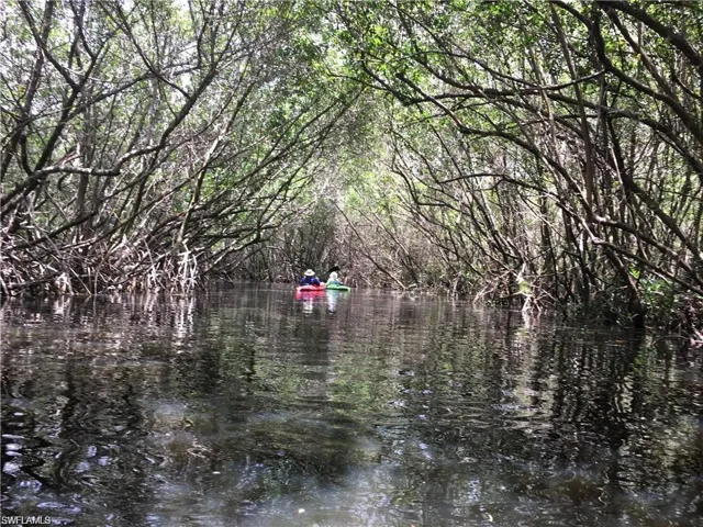 kayak fun