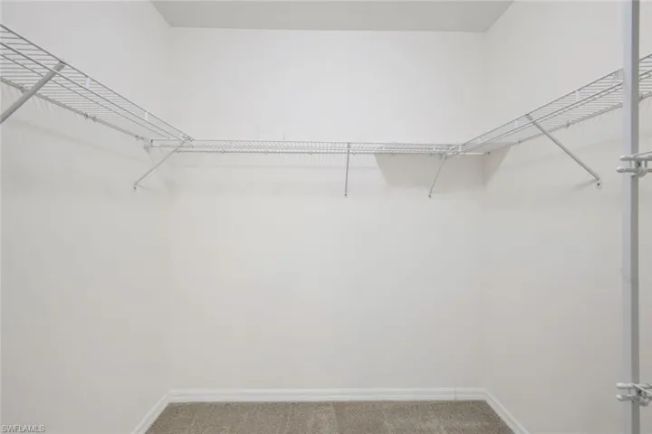 Walk in closet with carpet floors