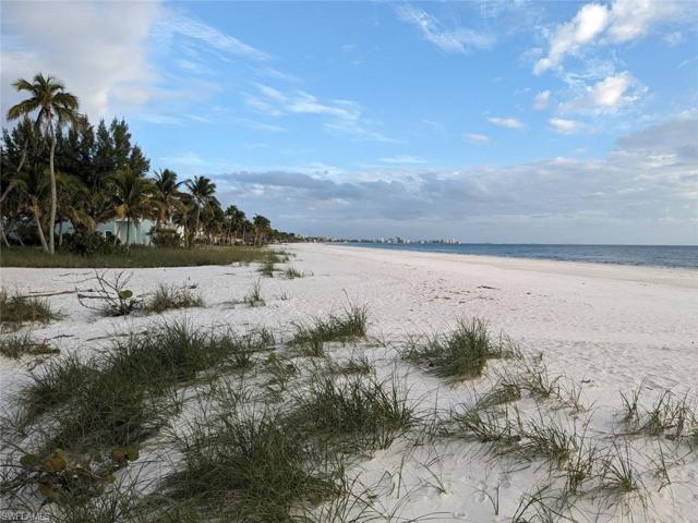 Great section of beach!