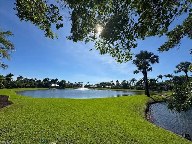 View of water feature