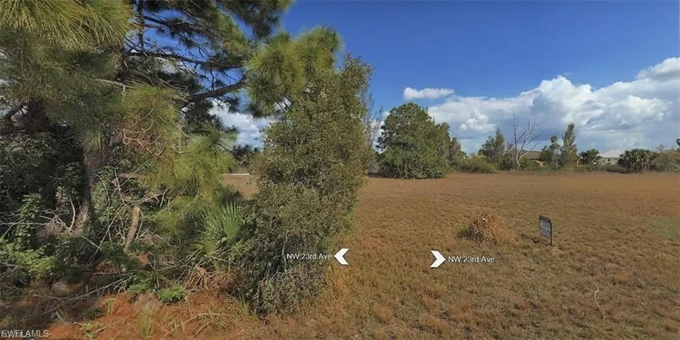 View of nature