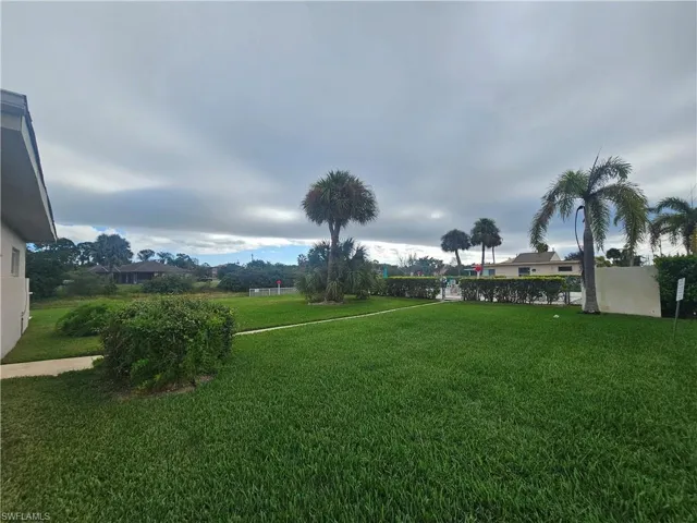 View of grassy yard