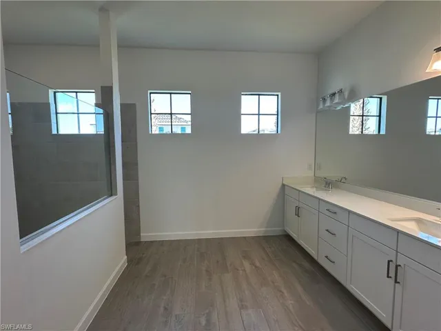 Bathroom featuring a healthy amount of sunlight, double vanity, and wood-type flooring