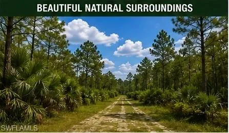 43051 Farabee Rd, Punta Gorda, Florida 33982