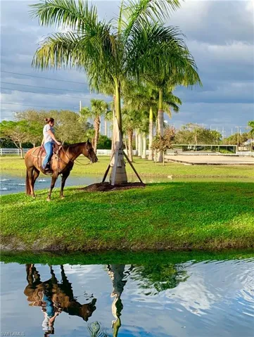 Lush, tropical setting for equestrians and horses