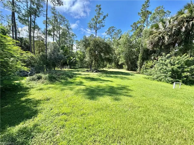 View of grassy yard