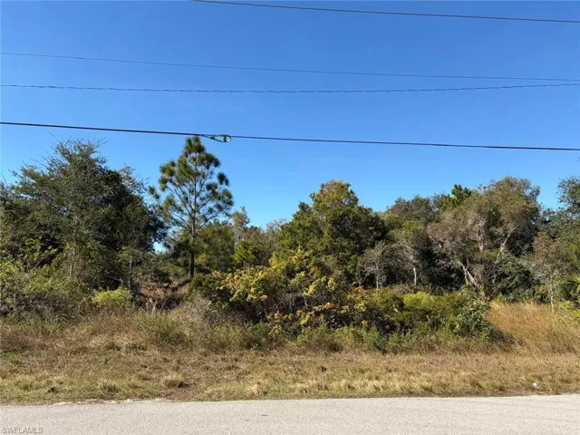 View of undeveloped land