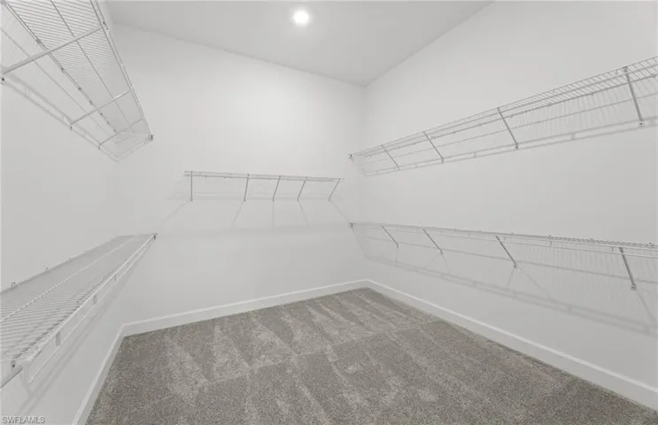 Walk in closet with carpet floors