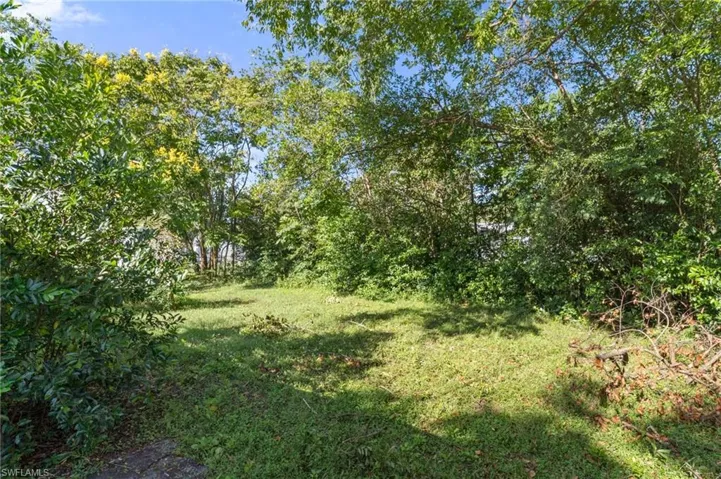 View of local wilderness