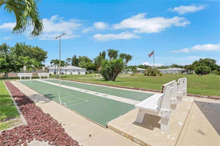 Shuffleboard