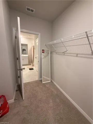 Walk-in Closet