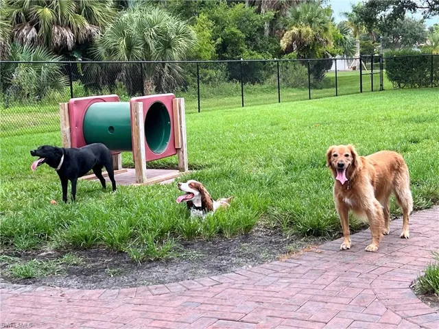 A favorite- Large Dog park for your 4 legged family member.  There is a small dog park as well.  Your dog will love it here!
