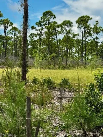 View of undeveloped land