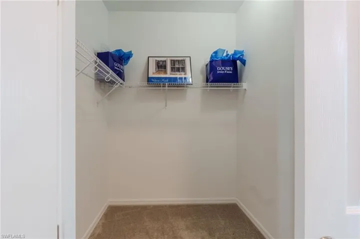 Interior closet featuring light beige carpeting, white walls, and white wire shelving