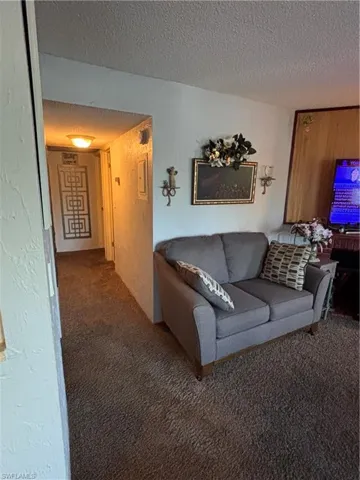Carpeted living room with a textured ceiling and a textured wall
