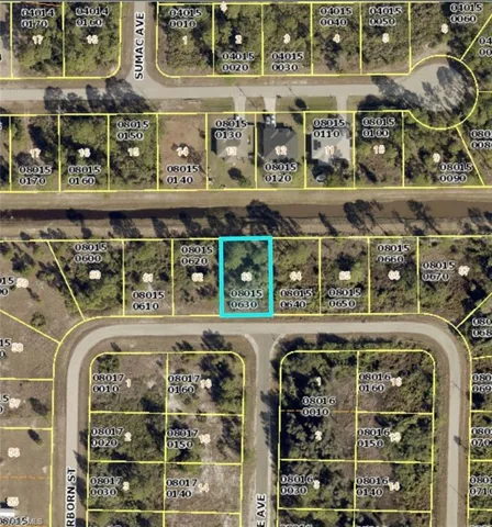 1053 Dearborn St, Lehigh Acres, Florida 33974