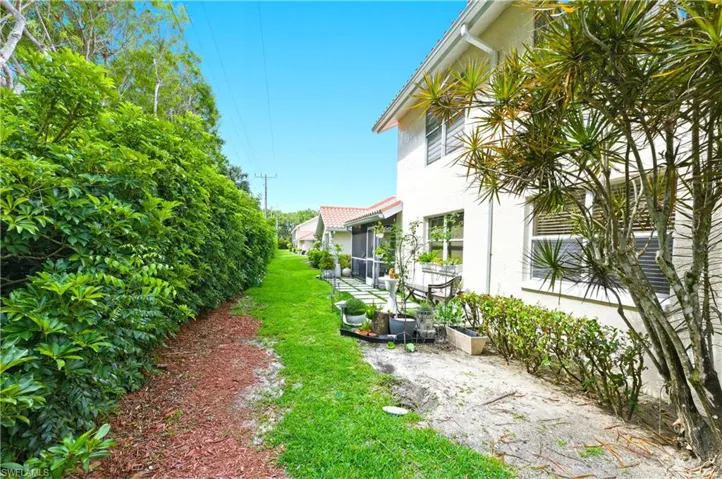 View of backyard
