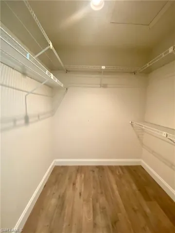 Walk in closet featuring dark wood-type flooring
