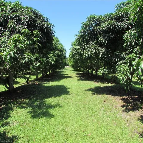 14499 Windsong Ln, Bokeelia, Florida 33922