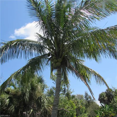 14499 Windsong Ln, Bokeelia, Florida 33922