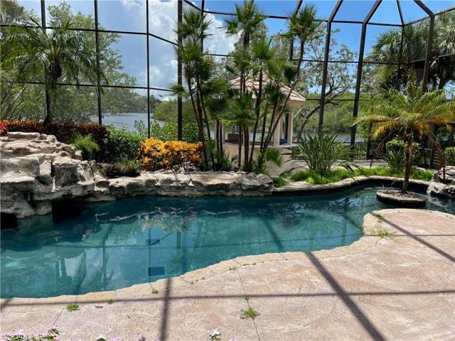 Pool area.