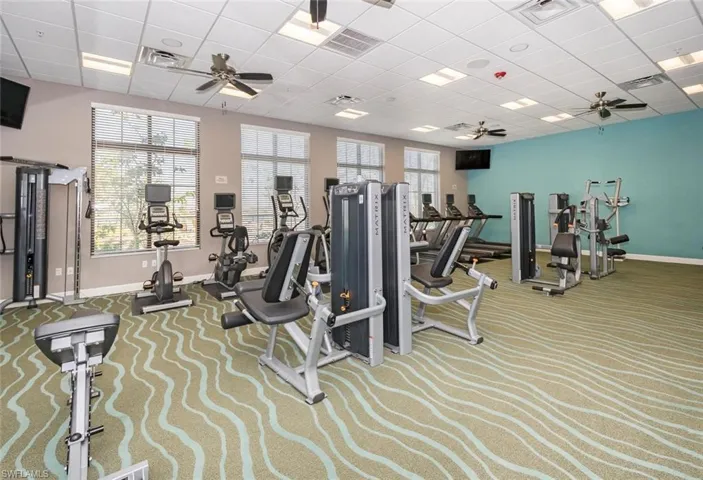 Exercise room featuring a wealth of natural light, ceiling fan, and carpet floors
