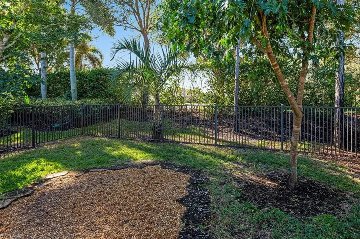 Fenced Back Yard