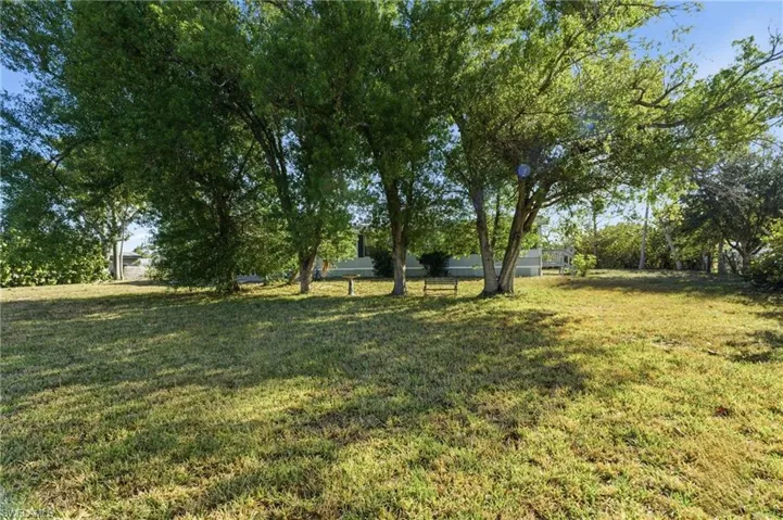 View of grassy yard