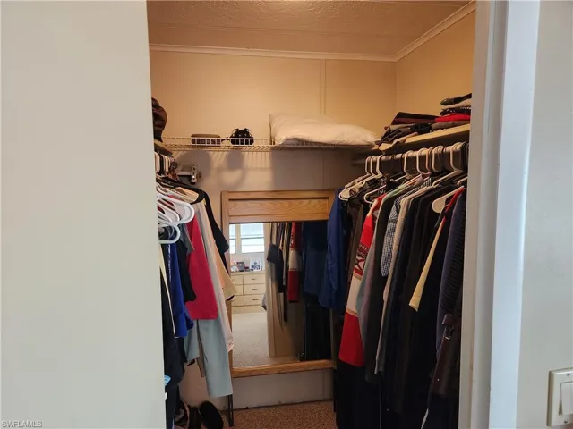 Spacious closet featuring carpet