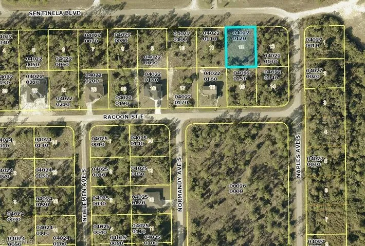 1244 Sentinela Blvd, Lehigh Acres, Florida 33974