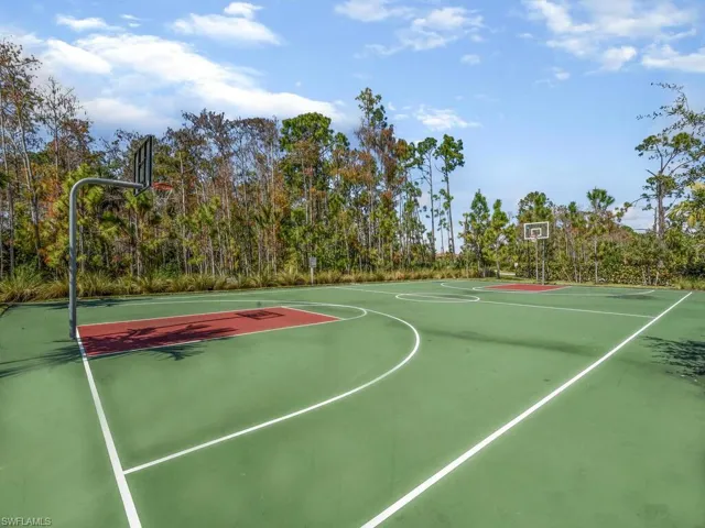 Basketball Court