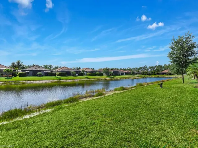 Peaceful Lake View