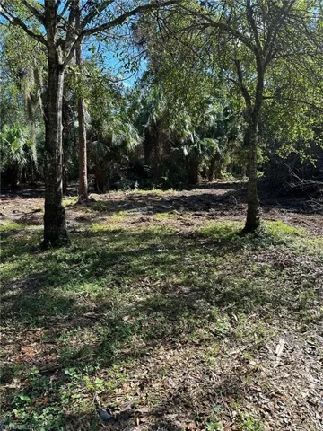 View of nature