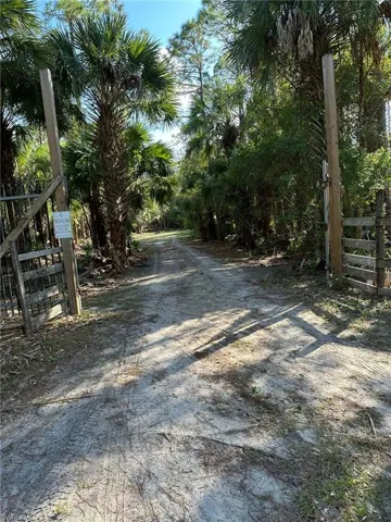 View of street