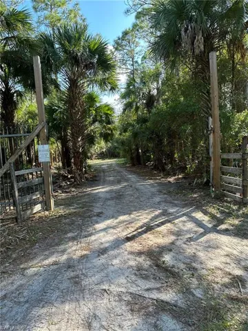View of street