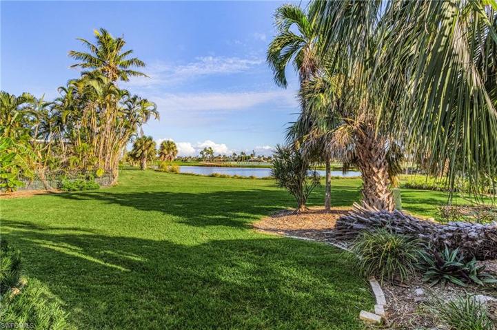 Back yard / view