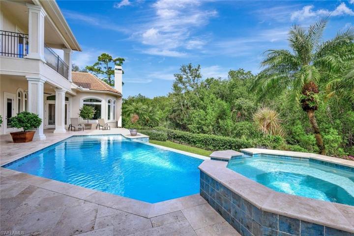 Negative-Edge Pool w/in Natural Preserve Setting
