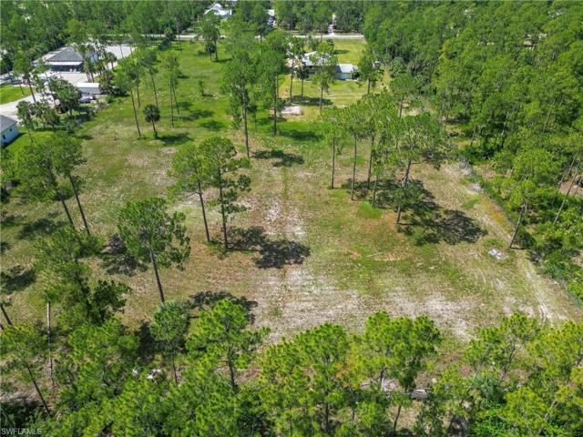 Back 5 Acres Looking South
