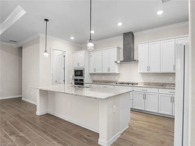 Kitchen featuring exhaust hood, and stainless steel appliances