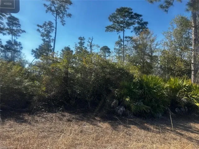 511 Penton Ave S, Lehigh Acres, Florida 33974