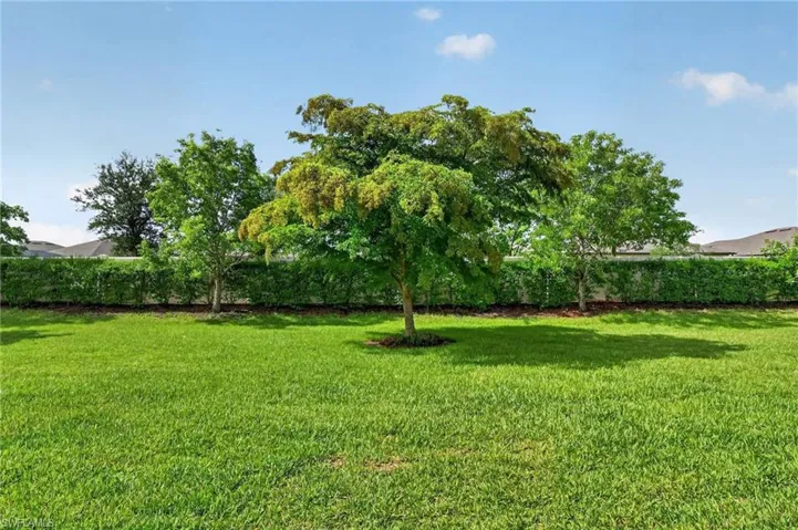 3329 Apple Blossom Dr, Alva, Florida 33920