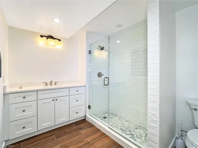 217 Delmar lower Level Bathroom featuring New walk in shower, vanity, and toilet